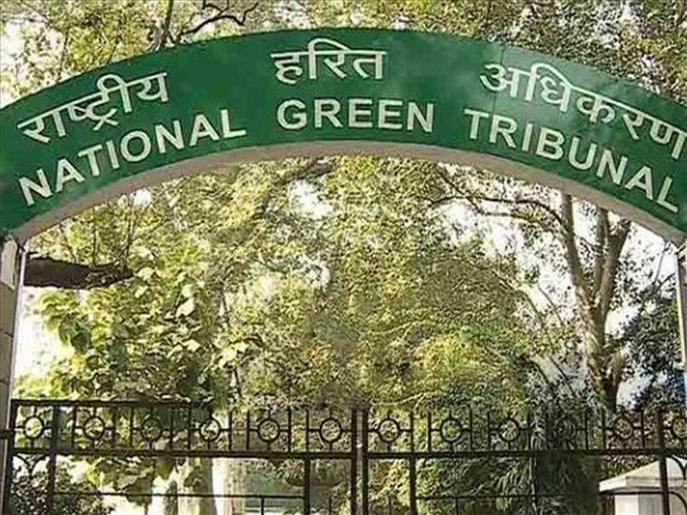 NGT seeks accountability after techie's death in waterlogged Noida site, flags environmental lapses